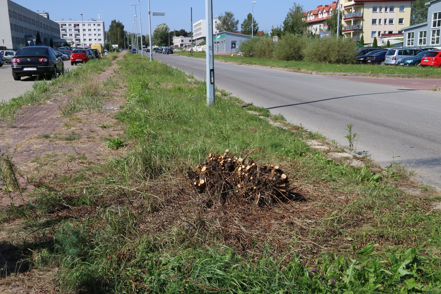 Wycięte krzewy przy PZOZ-ie images