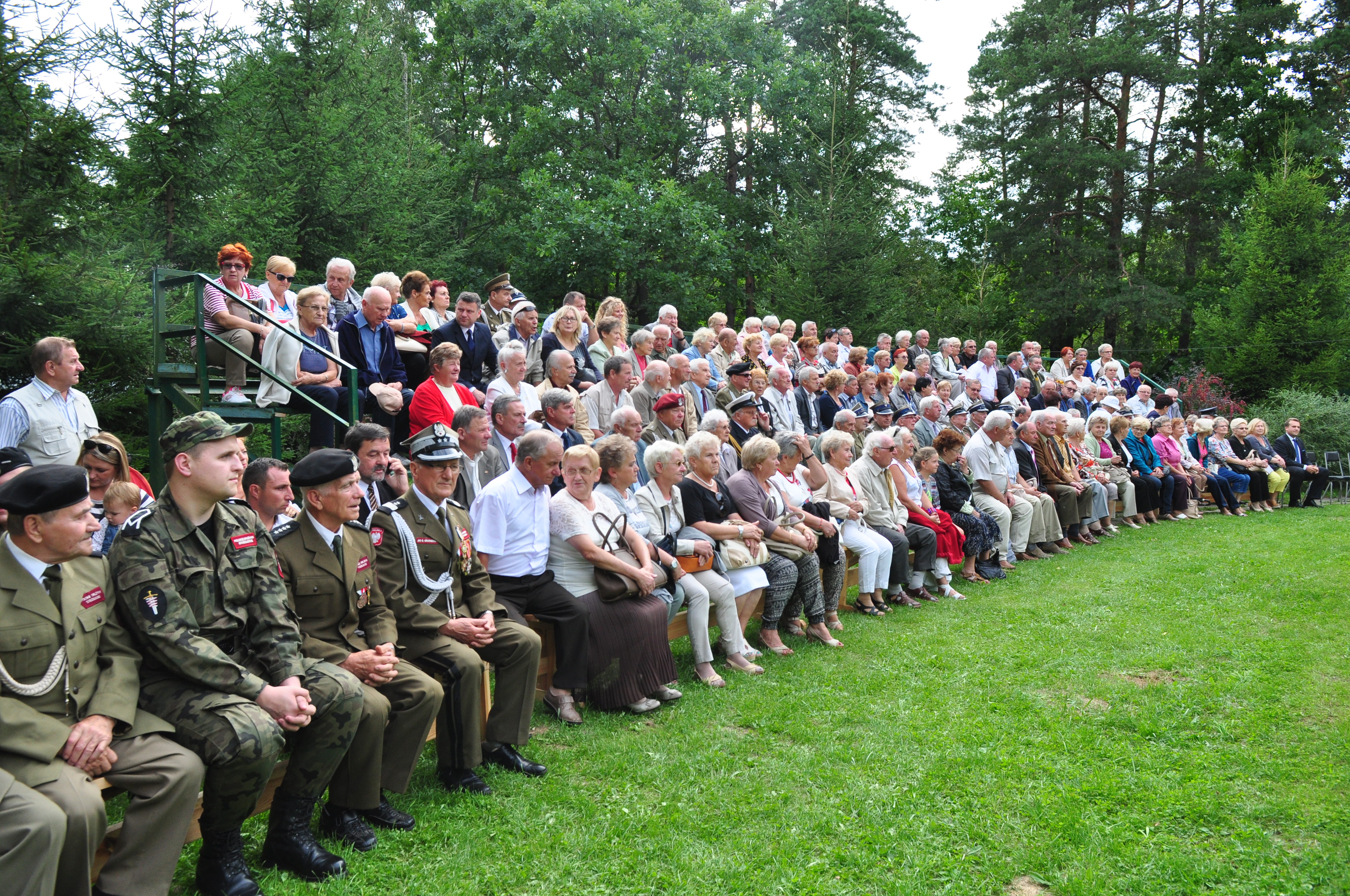 Obchody Święta Wojska Polskiego  images